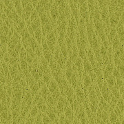 Pelle Verde Mela