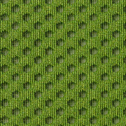 Green Apple Balance